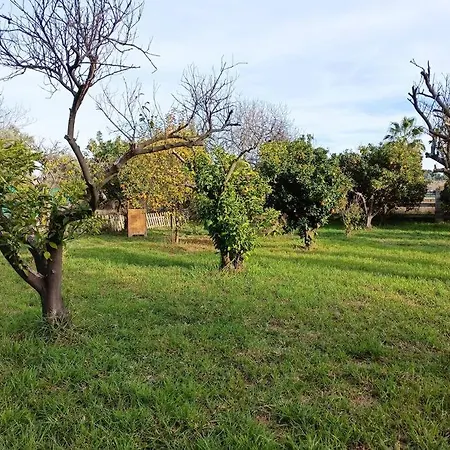 Big Lawn Four-bedroom House,spacious Room, In Of Music, Near Equestrian Center,outdoor Fun Holiday home *