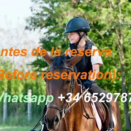 Big Lawn Four-bedroom House,spacious Room, In Of Music, Near Equestrian Center,outdoor Fun *